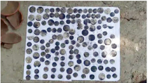 মাটি খুঁড়তে মিলল ব্যাংকভর্তি ধাতব মুদ্রা