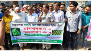 রাজশাহী নয় ,চাঁপাইনবাবগঞ্জের ফজলি আম জিআই পন্য হিসেবে স্বীকৃতির দাবীতে মানববন্ধন 