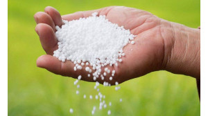 নাচোলে সার নিয়ে অবৈধ ব্যবসায়ীদের কারসাজি-ক্ষতিগ্রস্ত হচ্ছে কৃষকরা