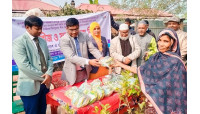 গোমস্তাপুরের আশ্রয়ণ প্রকল্পের  উপকারভোগীদের মধ্যে  সুবাতাস বইছে - জেলা প্রশাসক একেএম গালিভ খাঁন