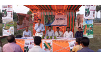 বাজারে আলোড়ন সৃষ্টি করেছে লালতীর সীড লিমিটেডের হাইব্রিড লাউ ডায়না