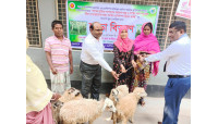 গোমস্তাপুরে দিনভর নানা কর্মসূচিতে ব্যস্ত সময় পার করলেন জেলা প্রশাসক