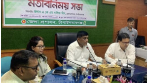 চাঁপাইনবাবগঞ্জে  এবারও থাকছে না আম নামানোর সময়সীমা