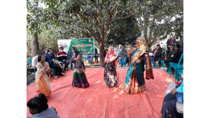  মহান বিজয় দিবস উদযাপন   করেছে স্বাধীনতা সরকারি চাকুরিজীবী জাতীয় পরিষদ 