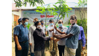 শিবগঞ্জে মুজিববর্ষ উপলক্ষে  ফলদ চারা  রোপন ও বিতরণ