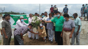 জাতীয়  শোক দিবস উপলক্ষে চাঁপাইনবাবগঞ্জ পৌরসভার বৃক্ষরোপন 