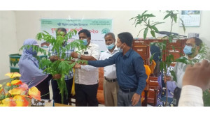 ইসলামী ব্যাংক রহনপুর শাখা পল্লী উন্নয়ন প্রকল্পের বৃক্ষরোপন