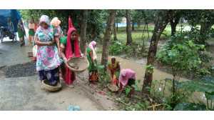 চাঁপাইনবাবগঞ্জে গ্রামীণ সড়ক রক্ষণাবেক্ষণ মাস উদযাপন 