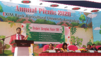 নবীন শিক্ষার্থীরাই একদিন দেশের উন্নয়ন ও অগ্রযাত্রায় ভূমিকা পালন করবে- ড.হায়দার আলী মিয়া