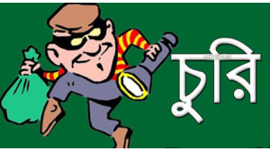 নয়াগোলা  সাতনইল মহল্লার এক বাড়িতে দিনে-দুপুরে চুরি