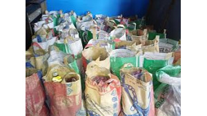 ধাইনগরে কর্মহীন অটো চালকদের মাঝে খাদ্য সামগ্রী বিতরণ করলেন মতিউর রহমান