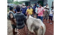 করোনা নিয়ন্ত্রনে জেলার বিভিন্ন পশু হাটে পুলিশের নজরদারি
