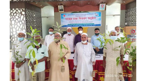 মুজিব বর্ষ উপলক্ষে সদর উপজেলার বীর মুক্তিযোদ্ধাদের মাঝে গাছের চারা বিতরণ