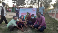 আই এফ বি সি ফাউন্ডেশনের আয়োজনে বৃক্ষরোপন কর্মসূচি পালিত