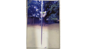 শ্যামপুর মাদরাসায় জাতীয় পতাকা অবমাননা করার অভিযোগ
