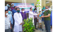 চাঁপাইনবাবগঞ্জ সদর উপজেলা পরিষদ সভা ও বিনামূল্যে গাছের চারা বিতরণ
