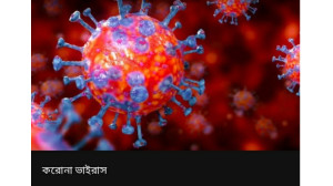 চাঁপাইনবাবগঞ্জে  আরো ১৫ জনের রিপোর্ট- সবাই করোনা মুক্ত 