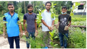 মুজিব বর্ষ উপলক্ষে চাঁপাইনবাবগঞ্জে মধুমালা রেডিও ক্লাবের বৃক্ষরোপণ