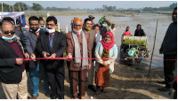 চাঁপাইনবাবগঞ্জে যন্ত্র দিয়ে বোরো ধানের চারা রোপণ শুরু