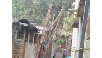 বাঁশের খুঁটিতে বিদ্যুৎ লাইন ঝুঁকিতে গ্রামবাসী