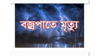 বাবুডাইং এলাকায়  বজ্রপাতে পৌর এলাকার দুজন নিহত