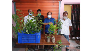 চাঁপাইনবাবগঞ্জে পৌর যুবলীগের বৃক্ষ রোপন 