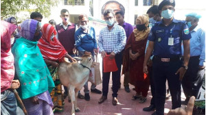 নাচোলে ভিক্ষুকদের পুনর্বাসন  করার লক্ষে  গরু, ভ্যান ও দোকানের সামগ্রী বিতরণ  