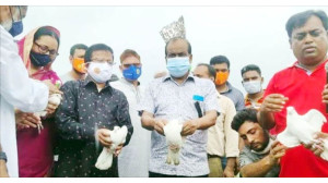 শিবগঞ্জে বঙ্গবন্ধু গোল্ডকাপ ফুটবল টুর্নামেন্টের উদ্বোধন 