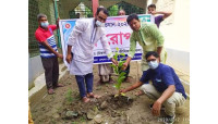 চাঁপাইনবাবগঞ্জে দেবীনগর ইউনিয়ন পরিষদ চত্ত্বরে বৃক্ষ রোপন