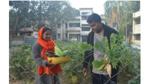 চাঁপাইনবাবগঞ্জ সদর উপজেলা ক্যাম্পাসেই শখের বাগান ইউএনও দম্পতির