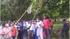 চাঁপাইনবাবগঞ্জে আনুষ্ঠানিকভাবে আম পাড়া শুরু