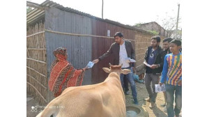 দপ্তর সম্পাদক আরিফুর রেজা ইমনের নেতৃত্বে নৌকার ভোট চেয়ে গণসংযোগ 