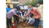 চাঁপাইনবাবগঞ্জে সদর উপজেলা আ.লীগের বৃক্ষরোপন কর্মসূচি