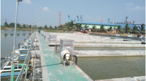 চাঁপাইনবাবগঞ্জে  আমেরিকার প্রযুক্তিতে দক্ষিণ এশিয়ার সর্ববৃহৎ হাই- টেক (আইপিআরএস) প্রযুক্তির মৎস্য খামারের যাত্রা শুরু   