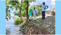 ভোলাহাটে পাউবো কর্মকর্তাদের মহানন্দার ভাঙ্গন পরিদর্শন 